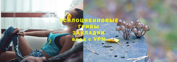 a pvp Алзамай