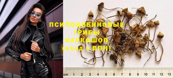 дживик Алексеевка