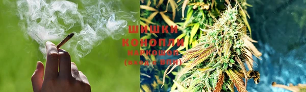 a pvp Алзамай
