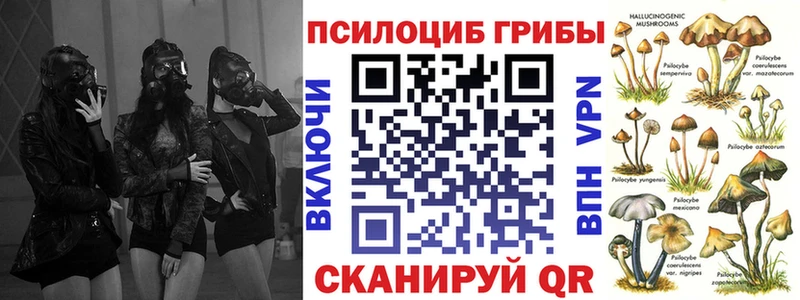 Купить  Крым  Псилоцибиновые грибы мухоморы 